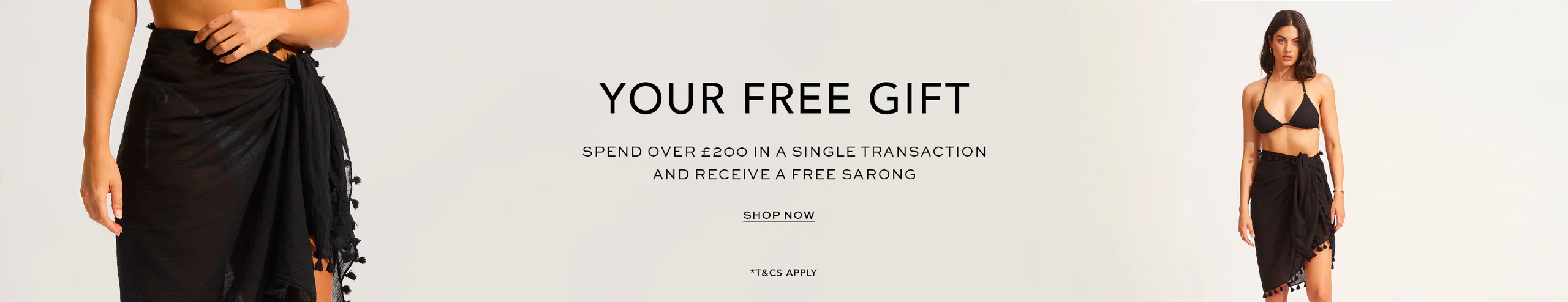 Seasonal promotion