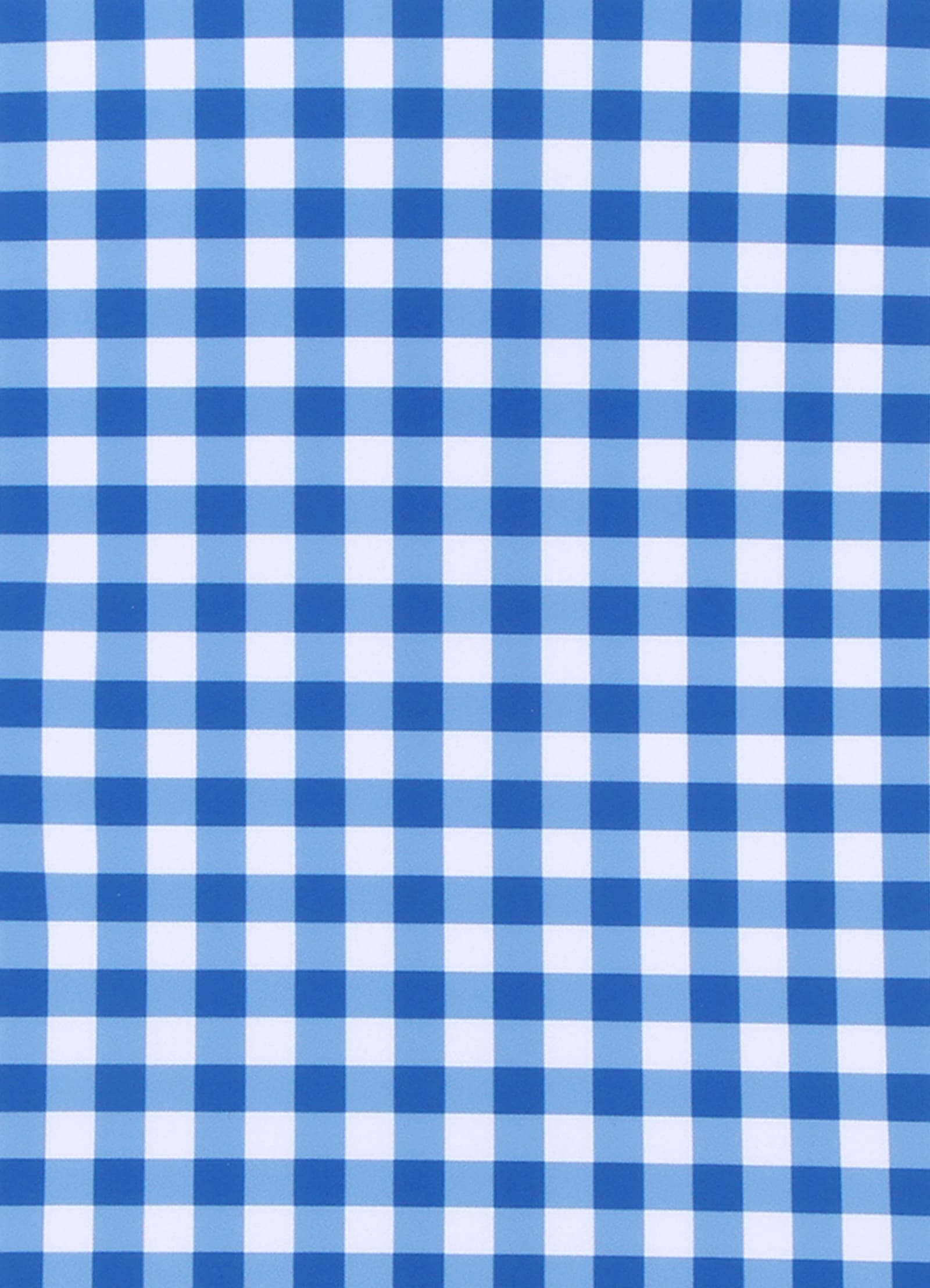 Gingham Bikini - Blue Lottie - Blue Lottie view 5